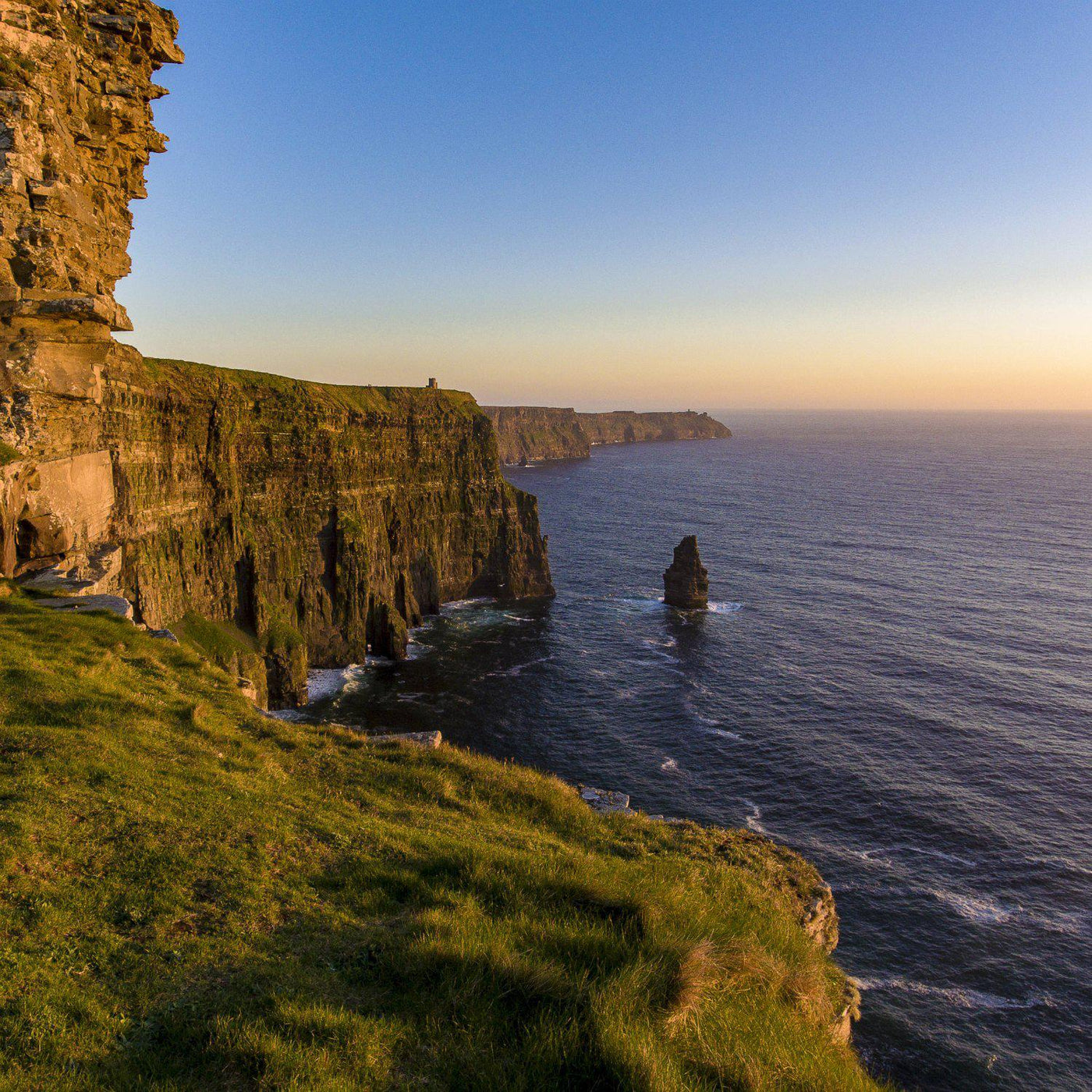 The Irish Living Urn - Green Farewells