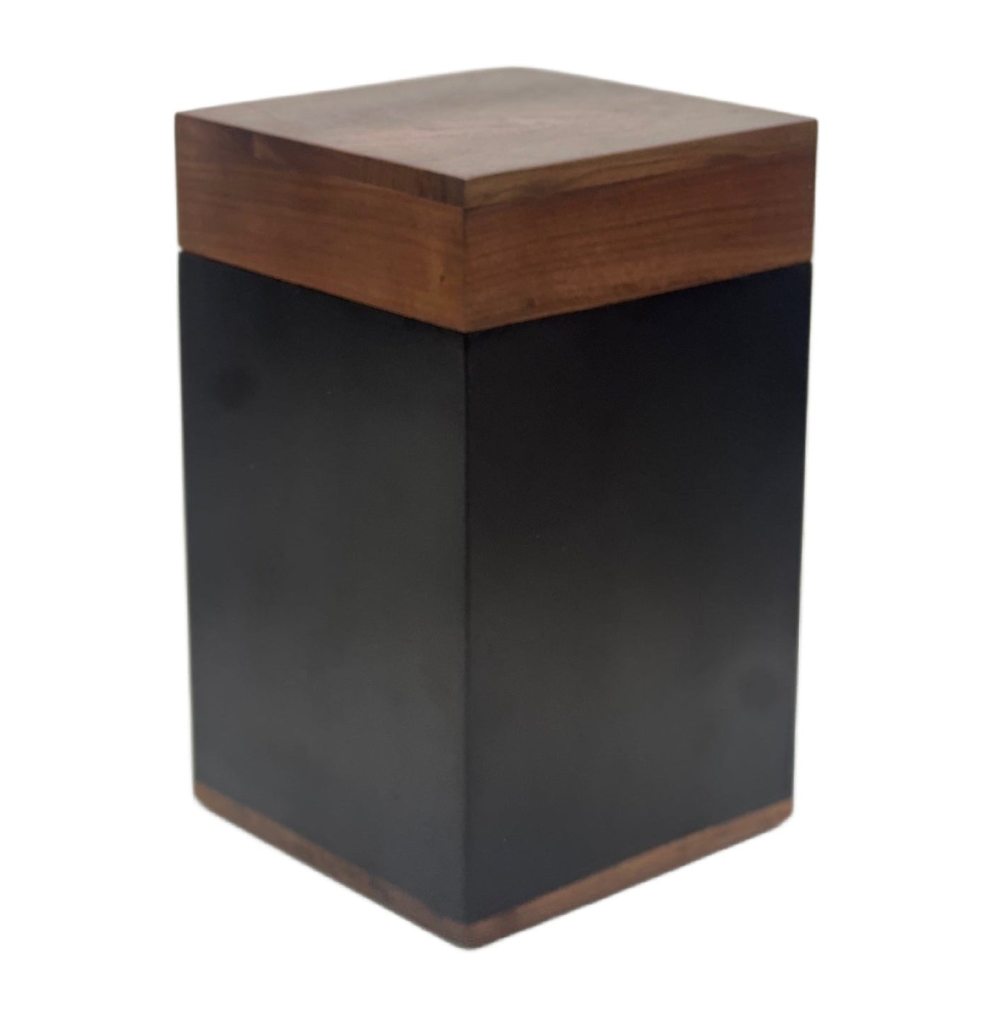 Wellington - Birdsong