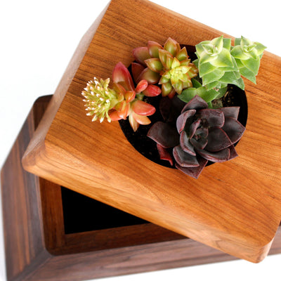 The Living Urn Planter - SereniCare