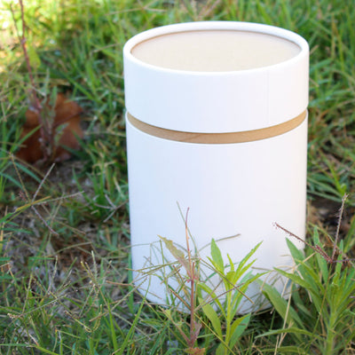 Simplicity "Give Away" Urn - Messenger