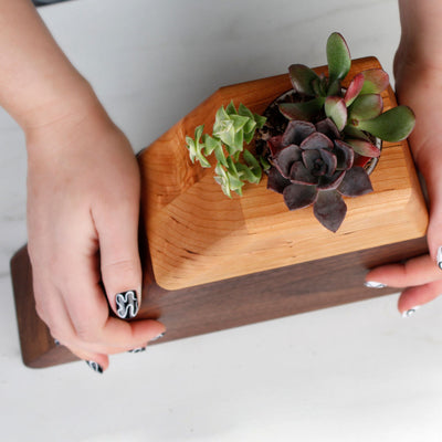 The Living Urn Planter - A Better Place