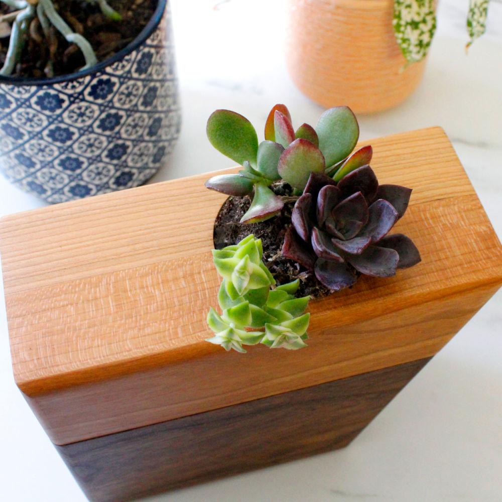 The Living Urn Planter - Front Range