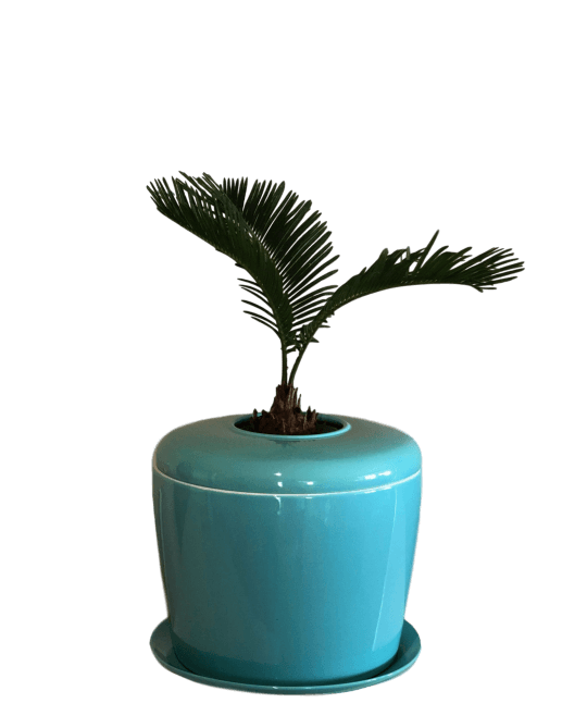 The Living Urn Indoors / Patio - Bunker