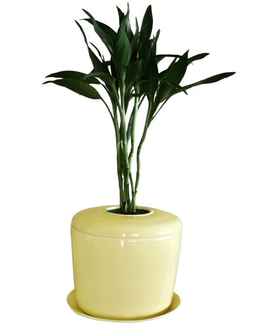 The Living Urn Indoors / Patio - Belk