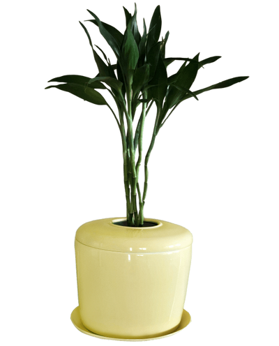 The Living Urn Indoors / Patio - Two Rivers