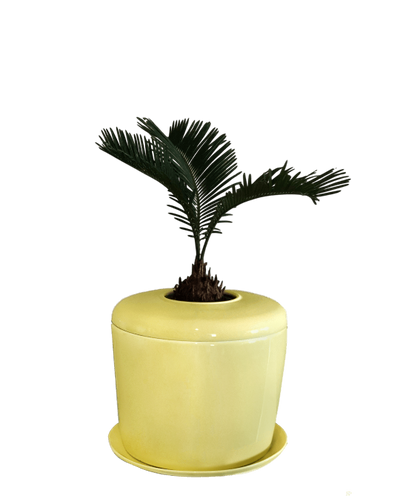 The Living Urn Indoors / Patio - Two Rivers