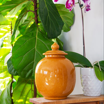 Norwood - Natural Grace