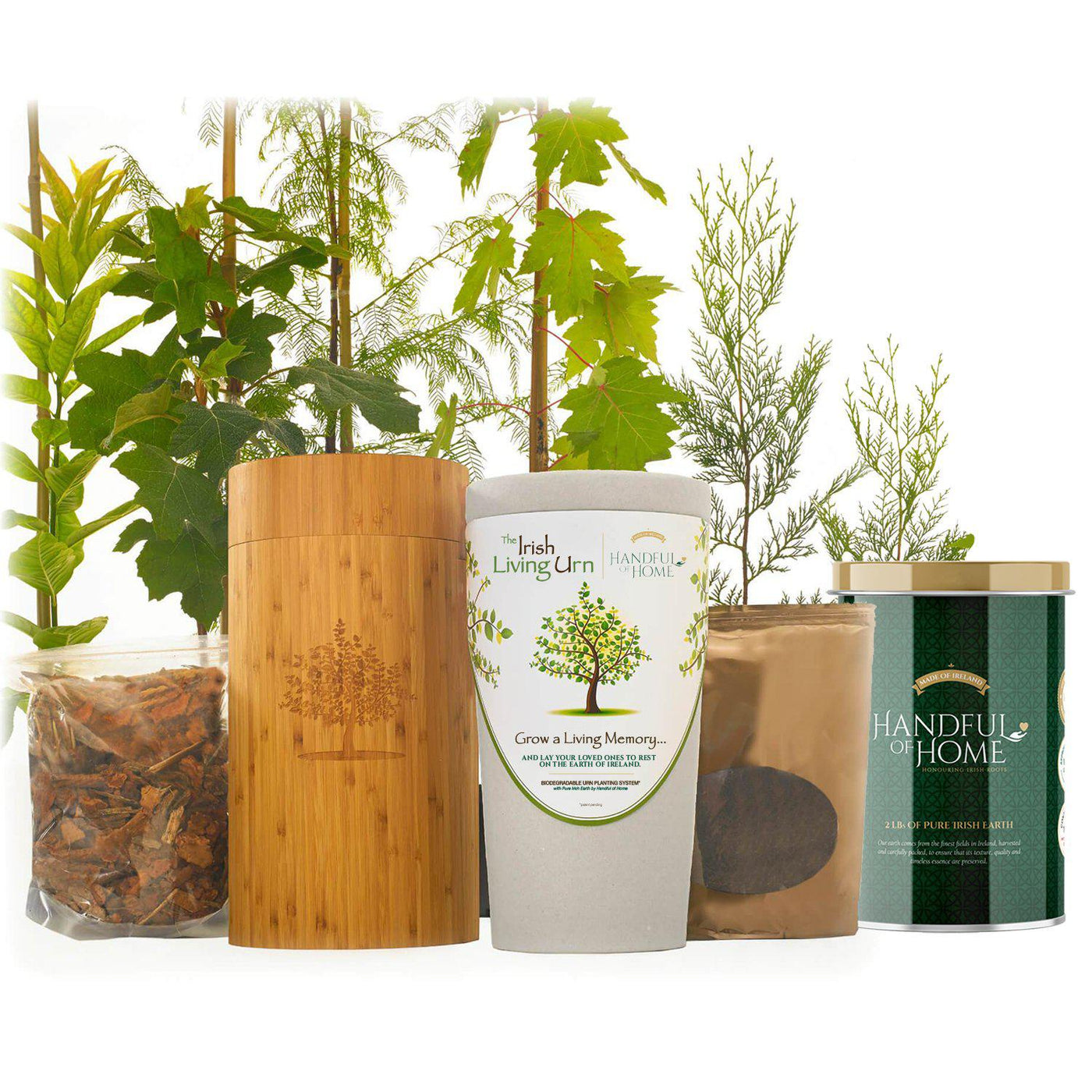 The Irish Living Urn - Birdsong