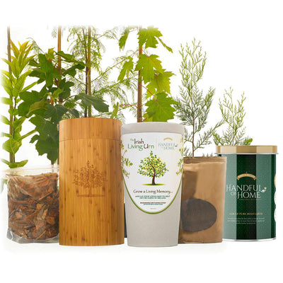 The Irish Living Urn - Birdsong