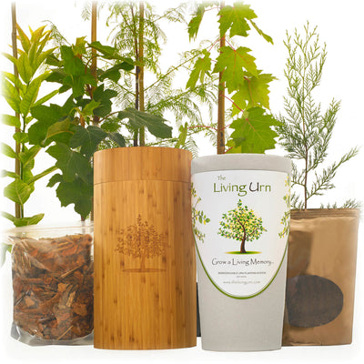 Living Urn System Only (use with your own tree, plant or flowers) - Birdsong