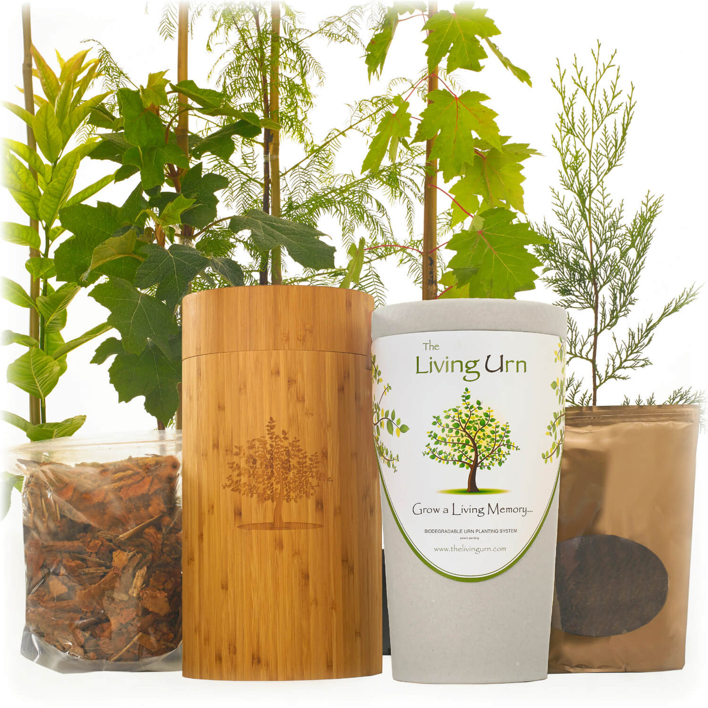 The Living Urn with a Voucher for a Tree - Heaven Bound