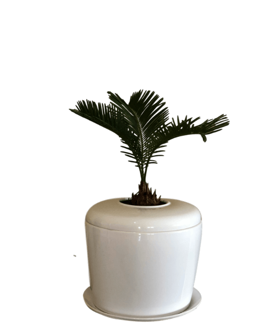 The Living Urn Indoors / Patio - Colorado Burial Preserve