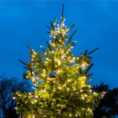 Christmas Tree - Heaven Bound