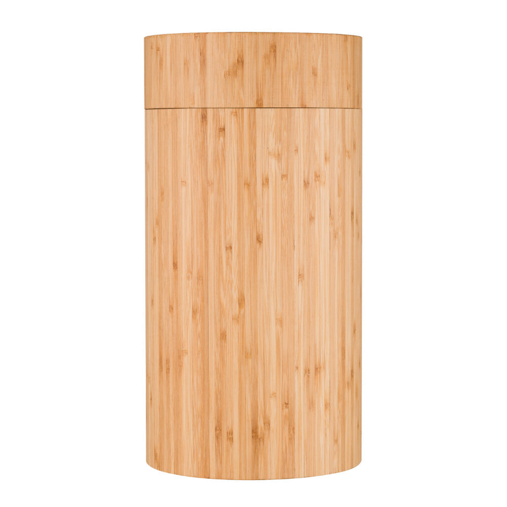 Sugar Maple - Bunker