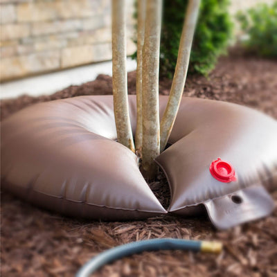 Slow Release Watering Bag